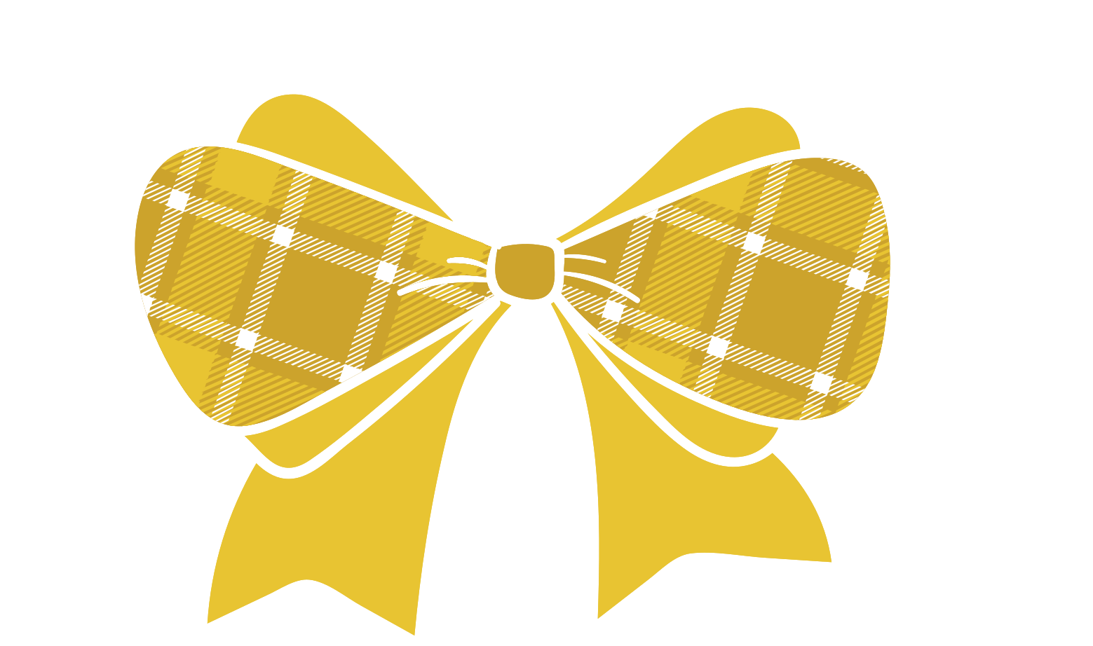 Cute bow with pattern png