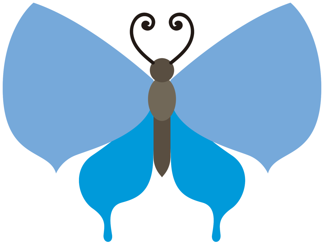 Butterfly png