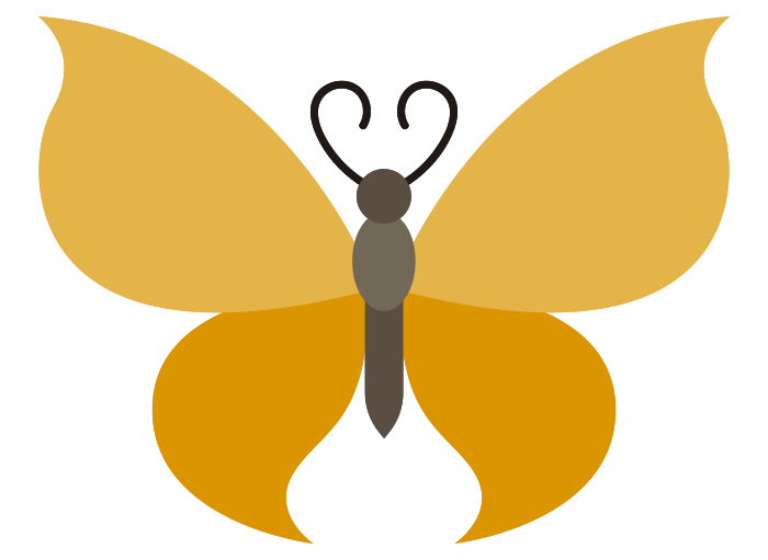 Schmetterling png