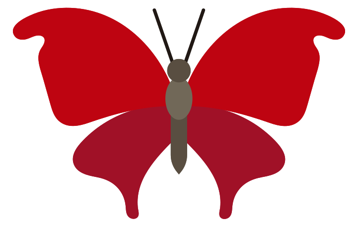 papillon png