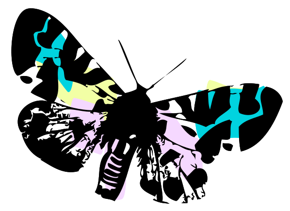 papillon png