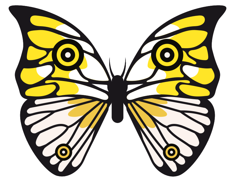 Butterfly png