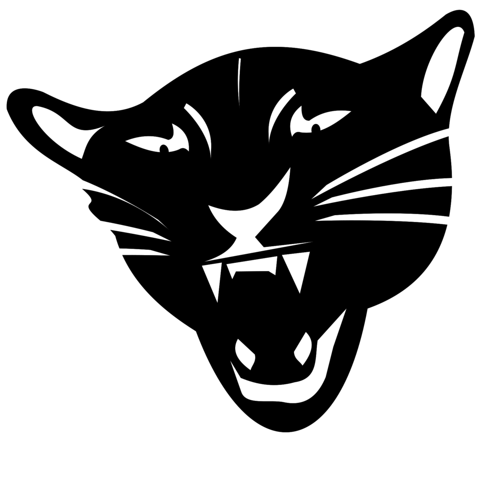 Free Tete De Lynx Roux Png With Transparent Background