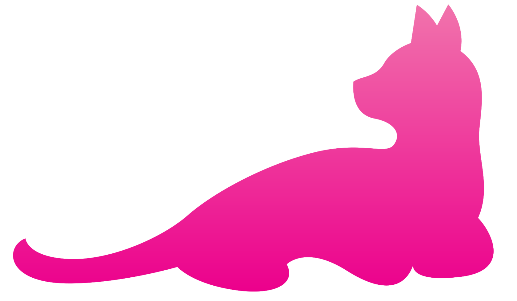 Cat png
