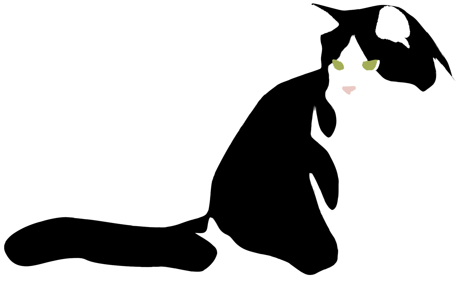 Cat png