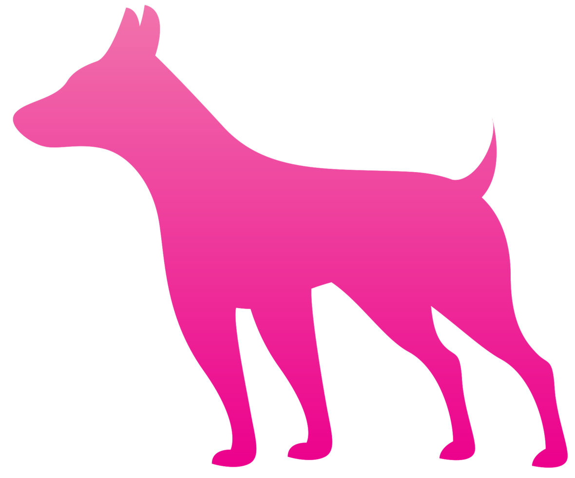 Dog png