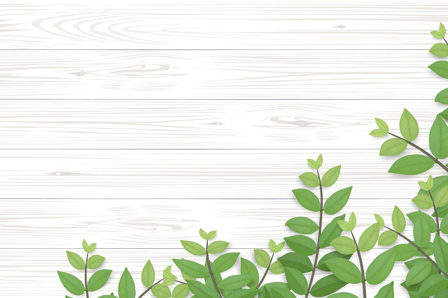 Wood plank texture with framing of green leaves vector