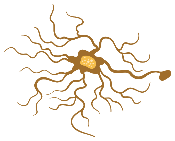 Neuron png