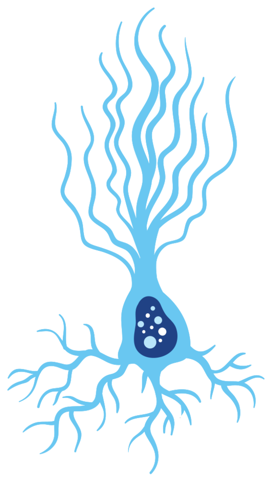 neurone png