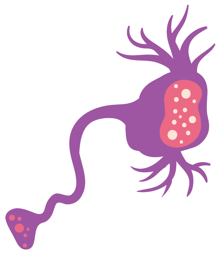 nervcell png