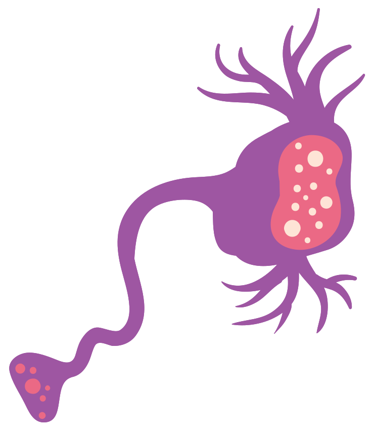 neuron png