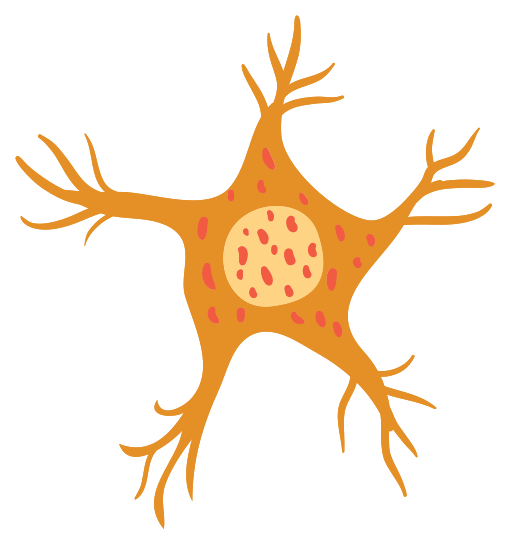 neurônio png