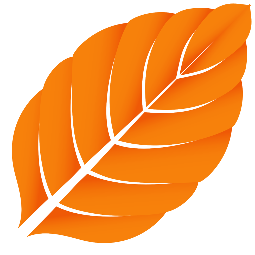 Maple Leaf png