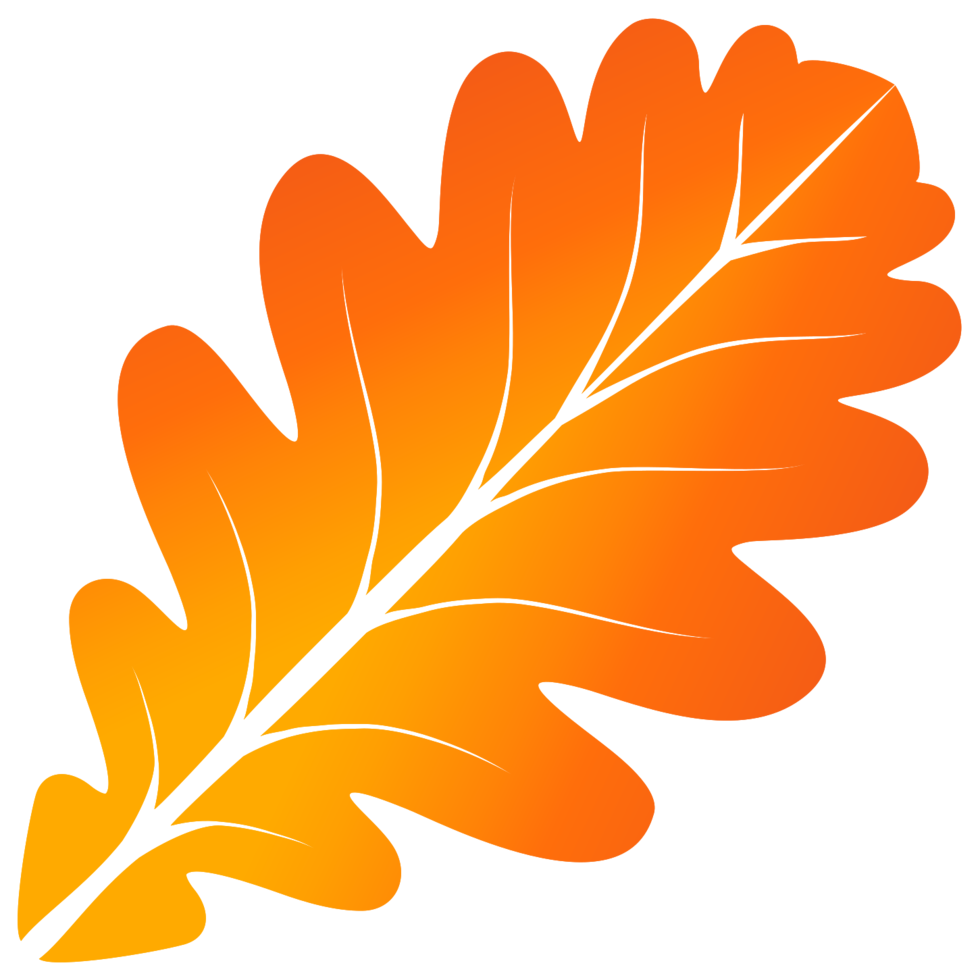 Oak Leaf png