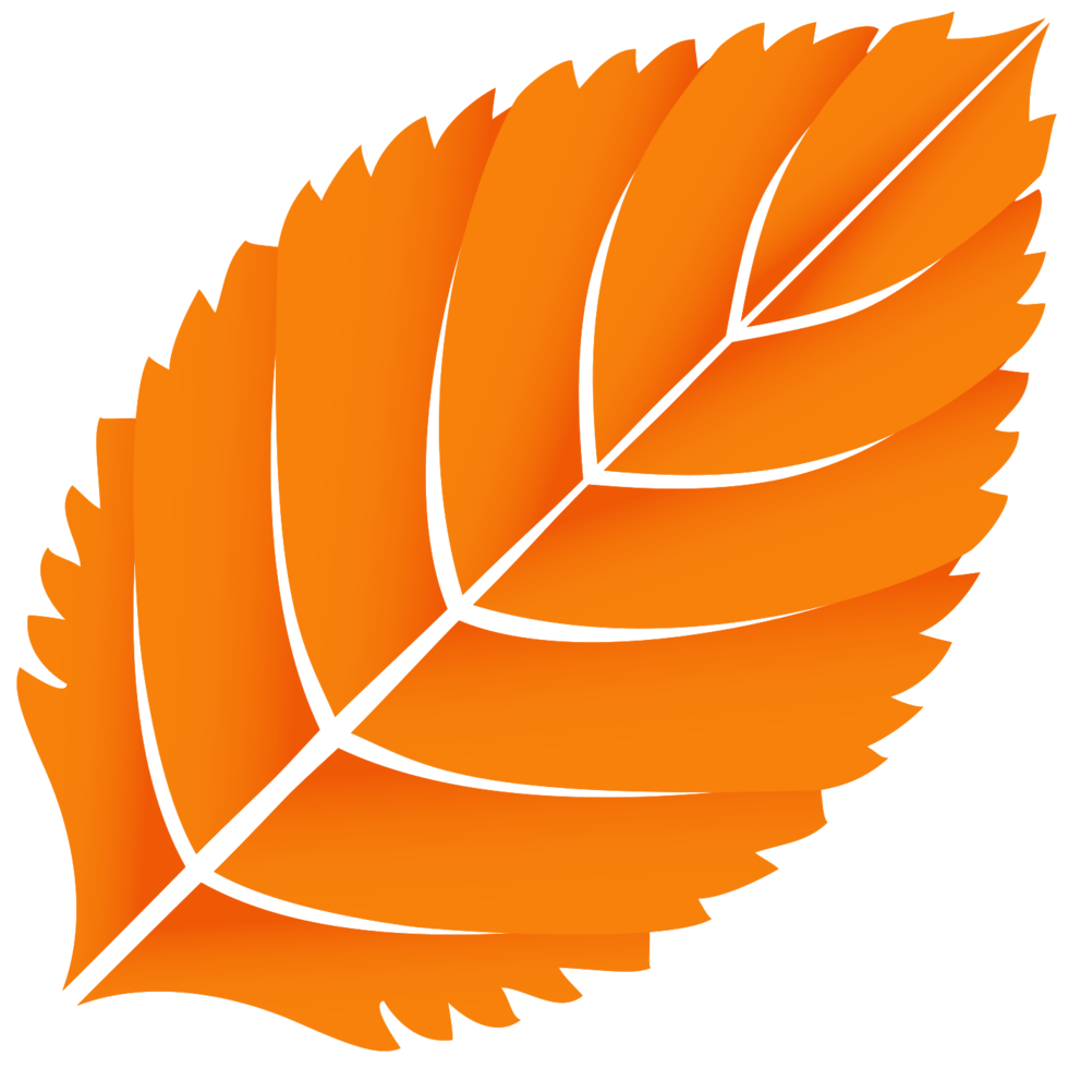 feuille png