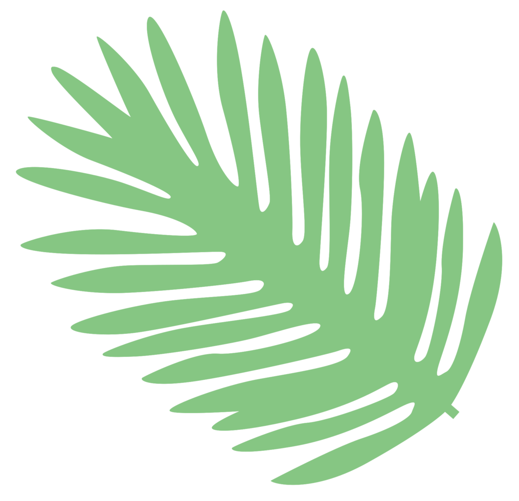 blad palm png