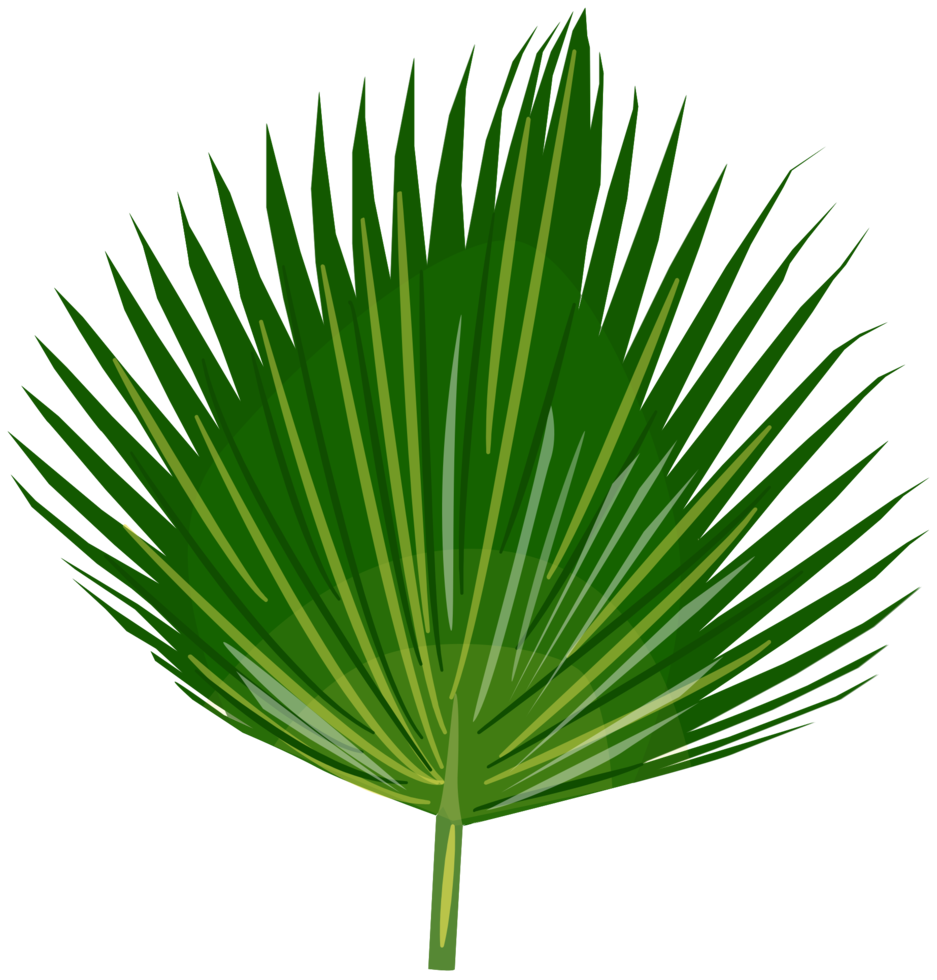 Palme png