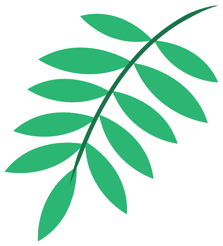 palm png