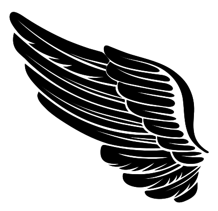 Крылья Ozon
