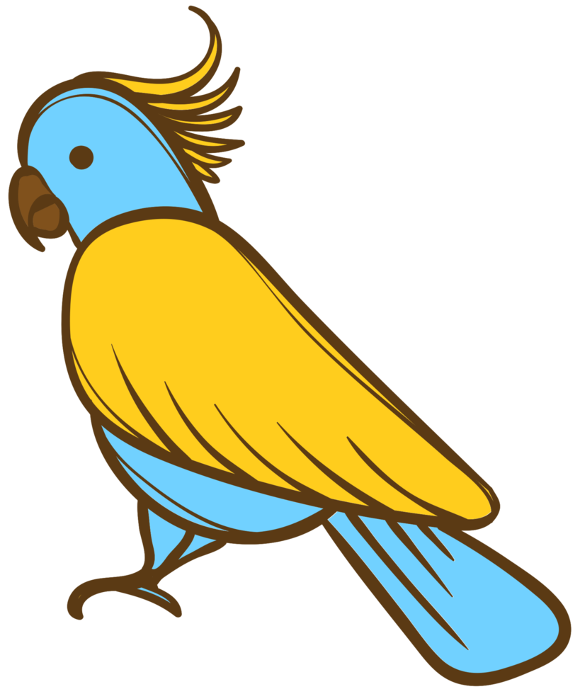 uccello png