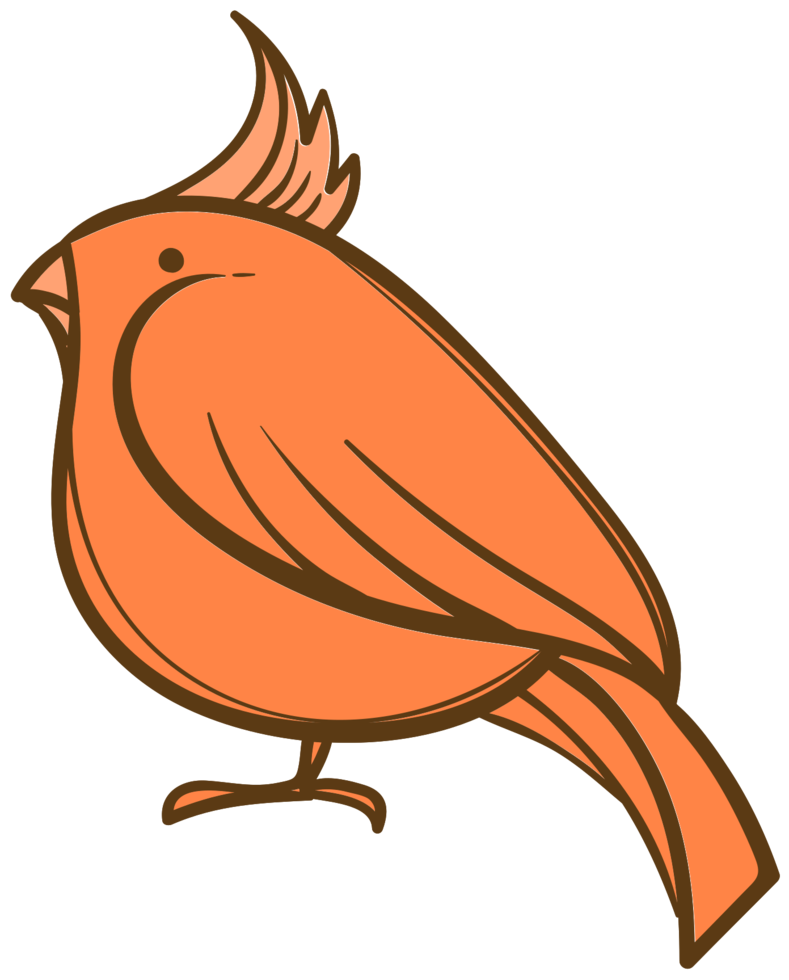 Bird png