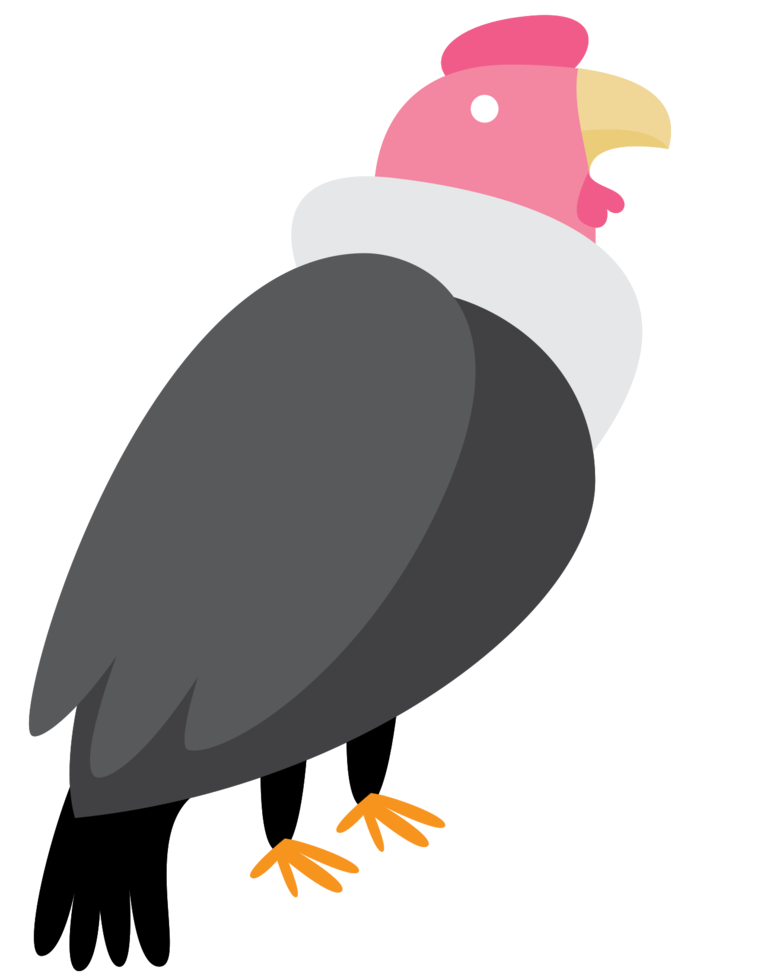 Vulture png