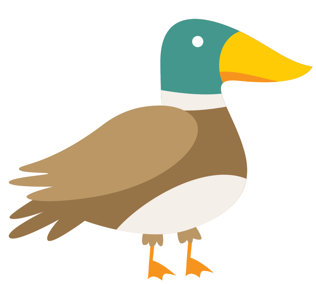 Pato png