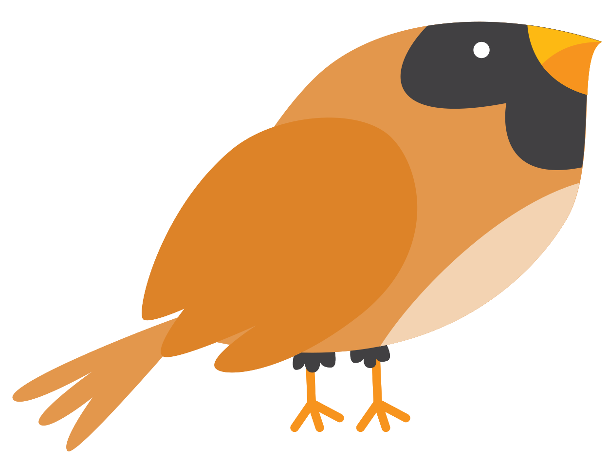 pájaro png