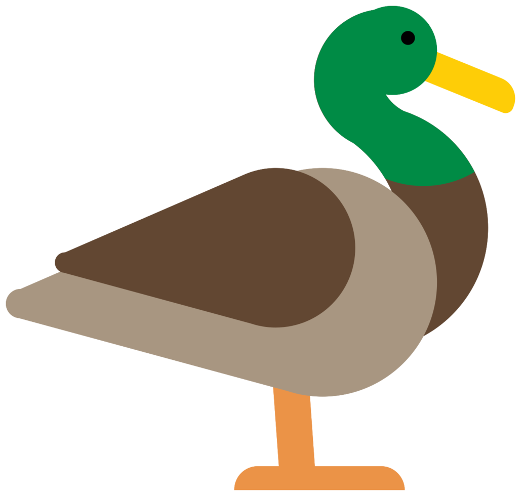 Pato png