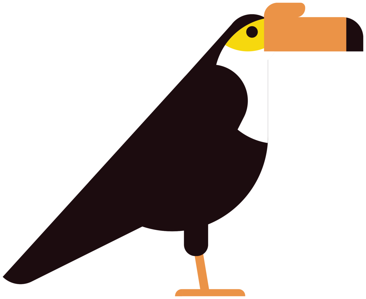 Toucan png