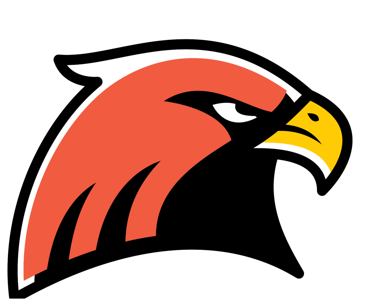 Hawk png