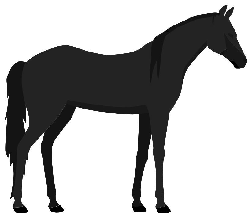 cavallo png