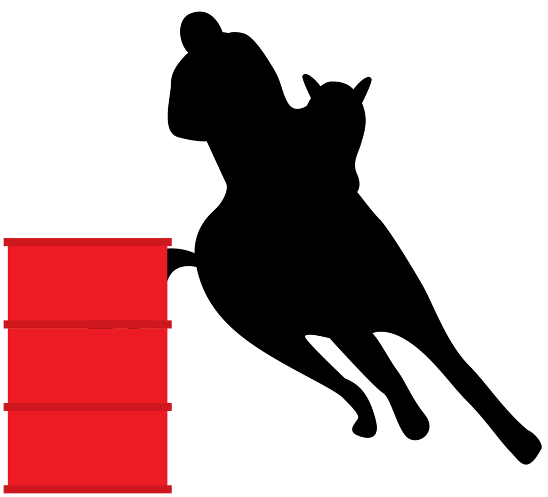 equitación png