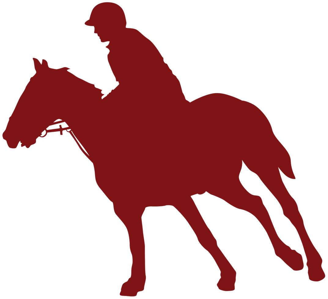 Andar a cavalo PNG, SVG