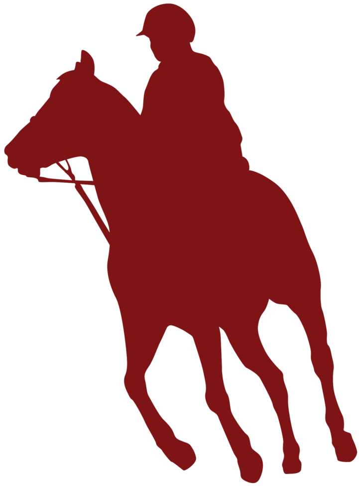 Andar a cavalo PNG, SVG