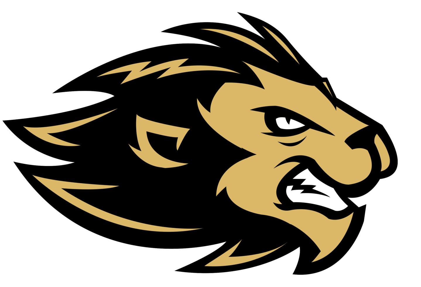 Lion png