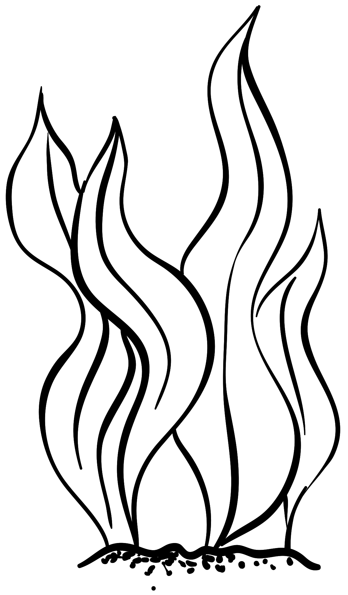 Free algas marinas 1209557 PNG with Transparent Background Free algas marinas 1209557 PNG with Transparent Background