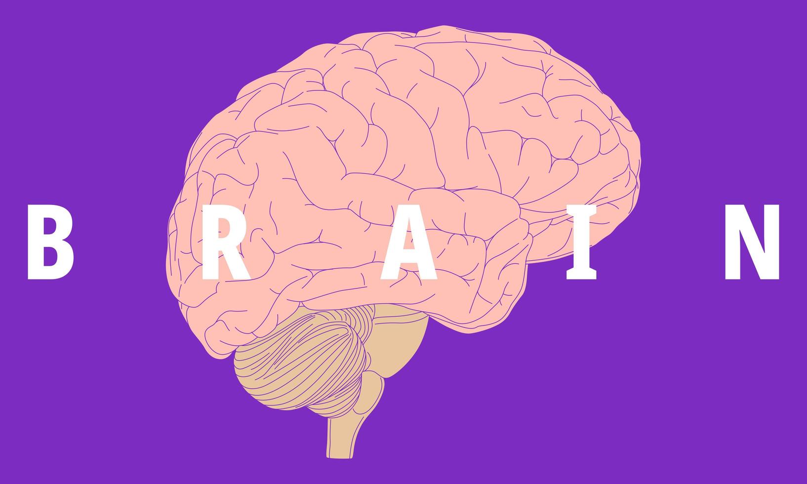 Human brain design vector