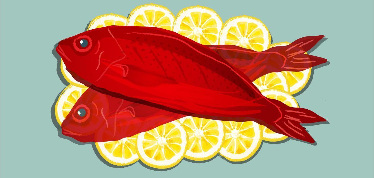 Red snapper fish on lemons vector
