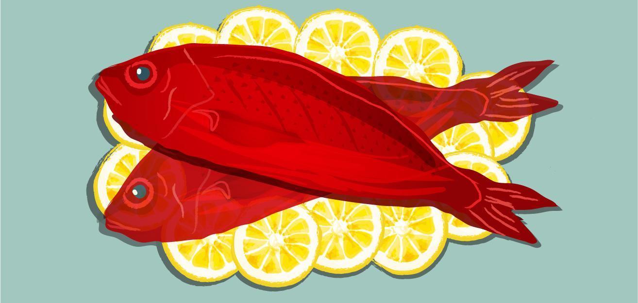 pescado pargo rojo en limones vector