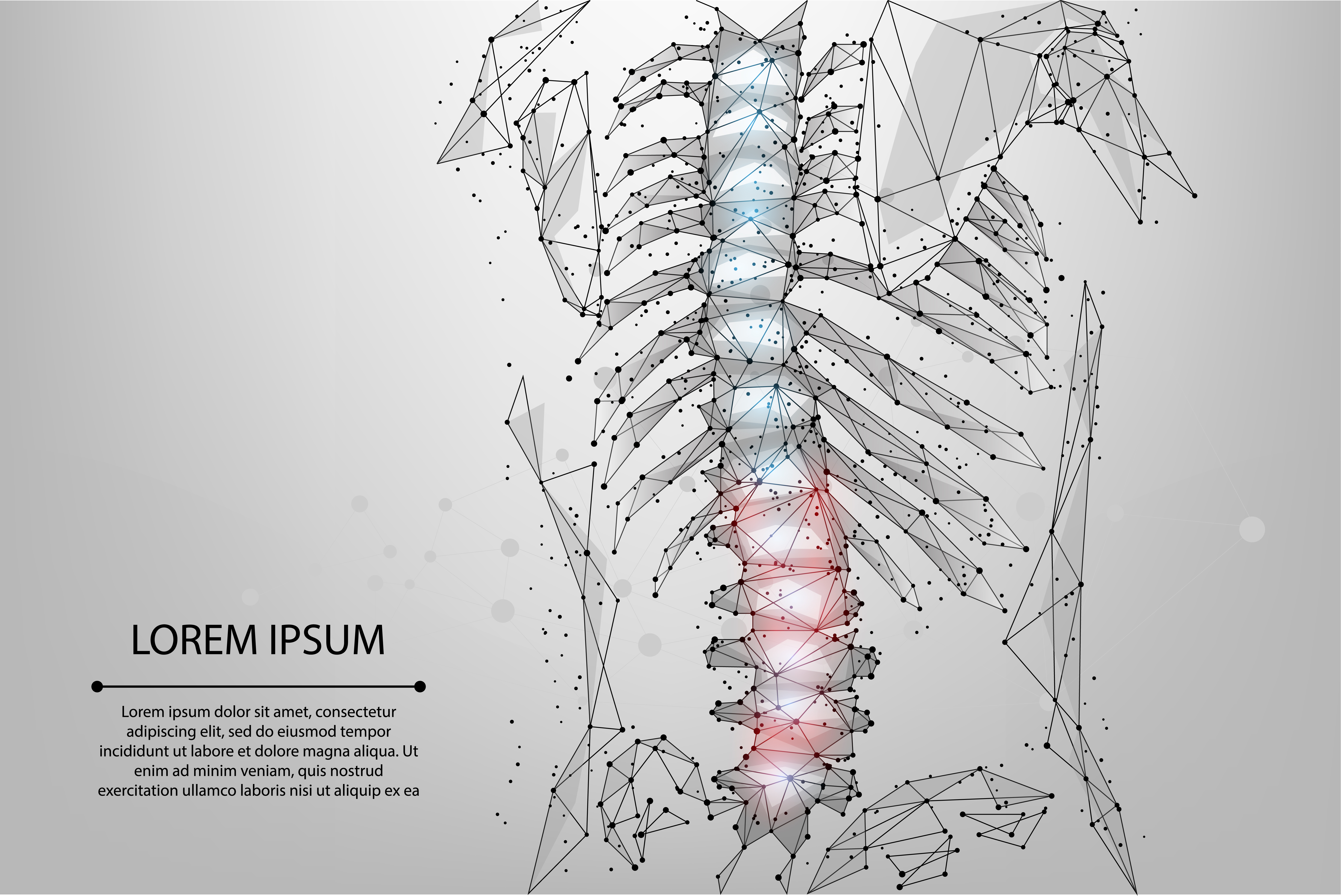 Abstract mesh line and dot physiotherapy human spine - Download Free