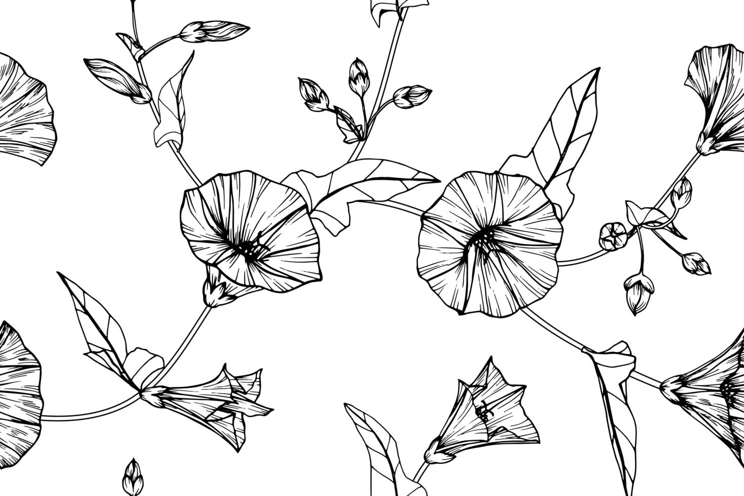 Seamless pattern hand drawn morning glory flower and leaves vector
