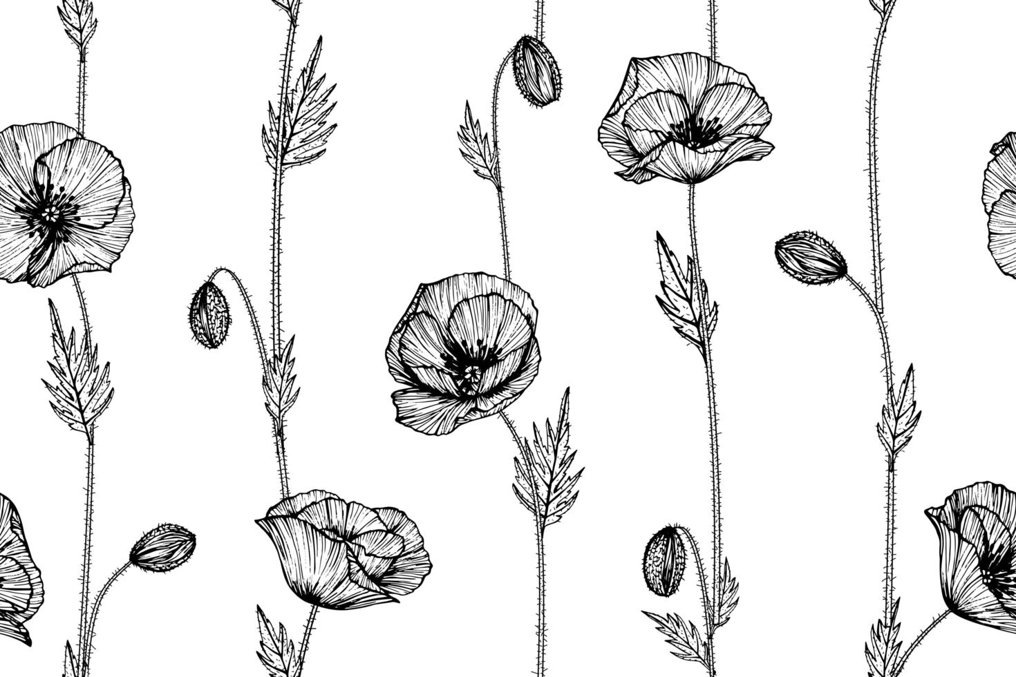 Seamless pattern hand drawn Poppy flower and leaves vector