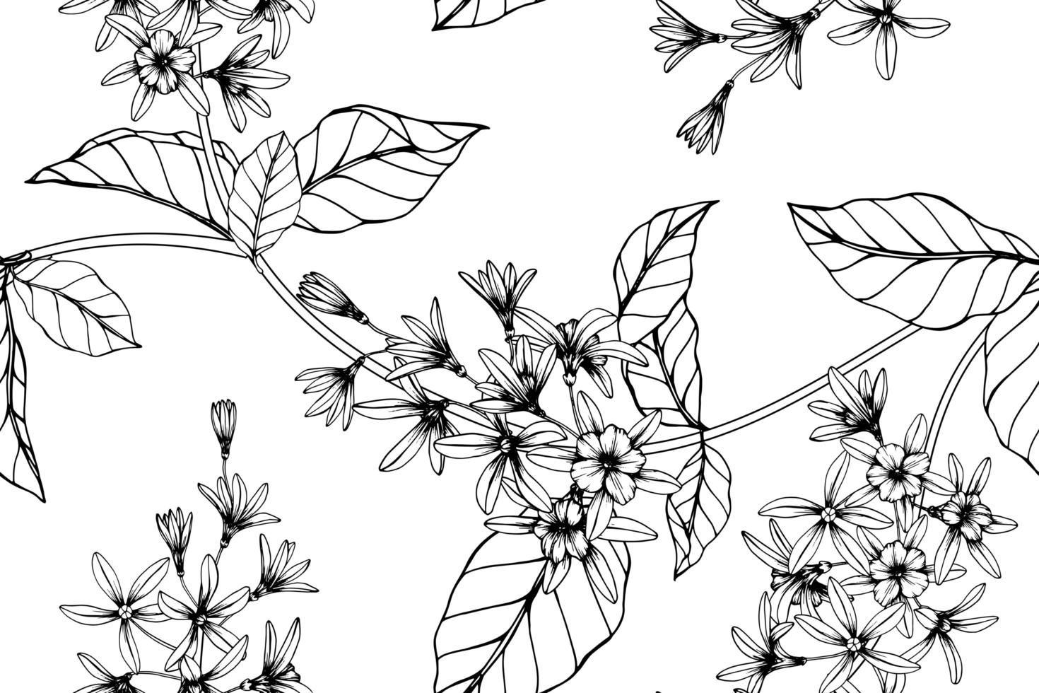 Seamless pattern hand drawn Sandpaper vine flower and leaves vector