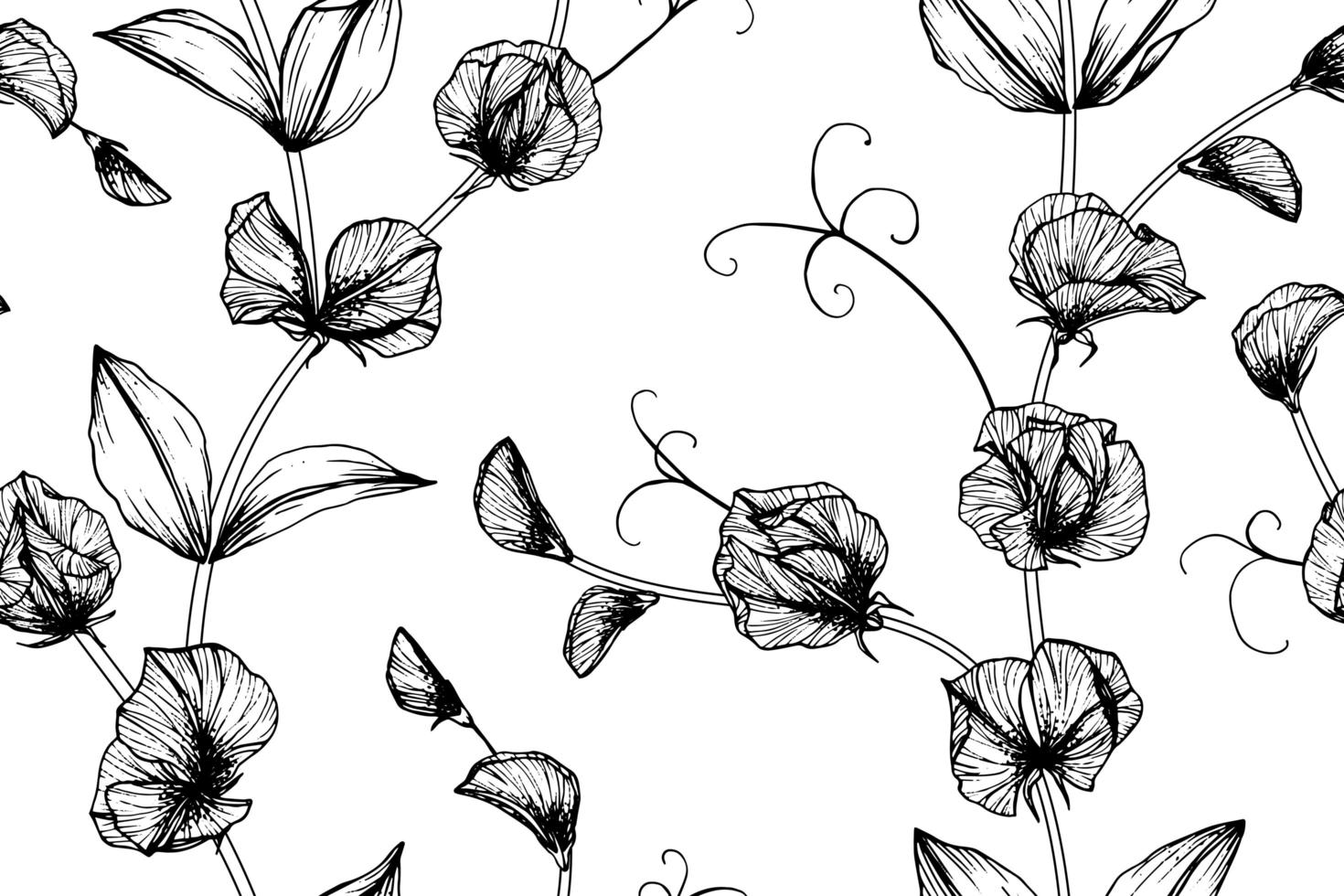 Seamless pattern hand drawn Sweet pea flower and leaves vector