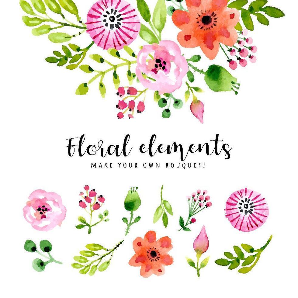 Isolated Watercolor Flowers And Leaves vector