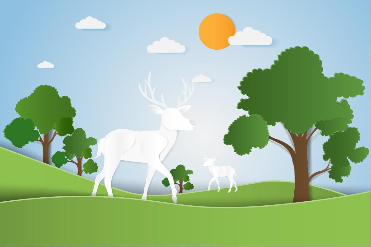 Deer in a forest with trees vector
