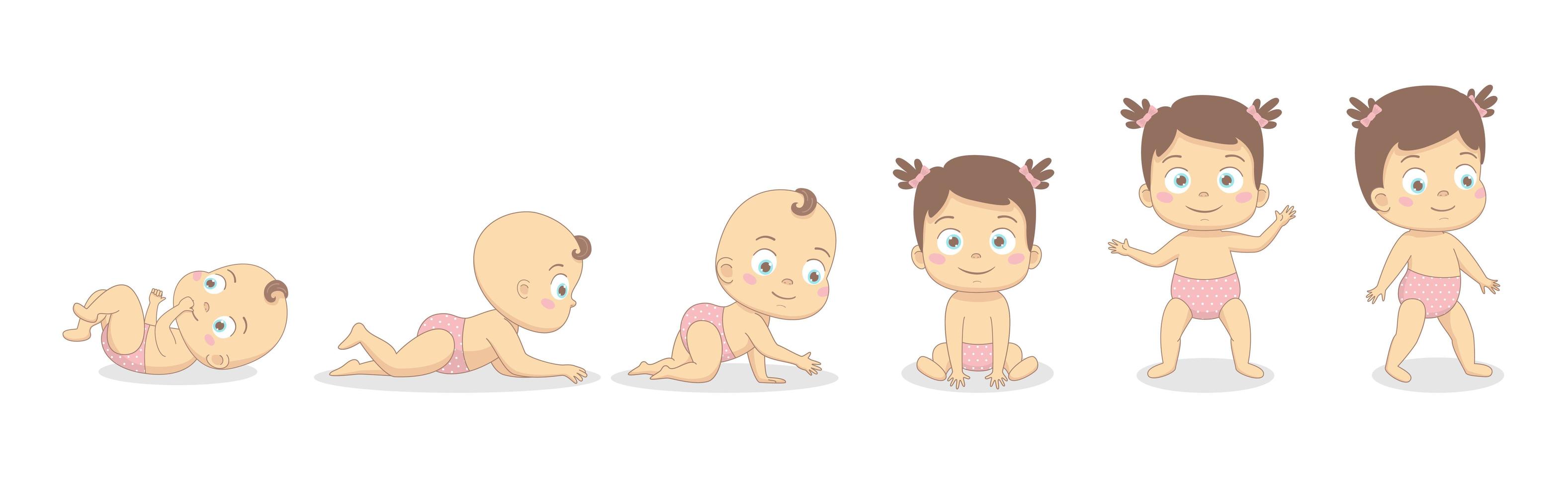 Baby girl growth process. vector