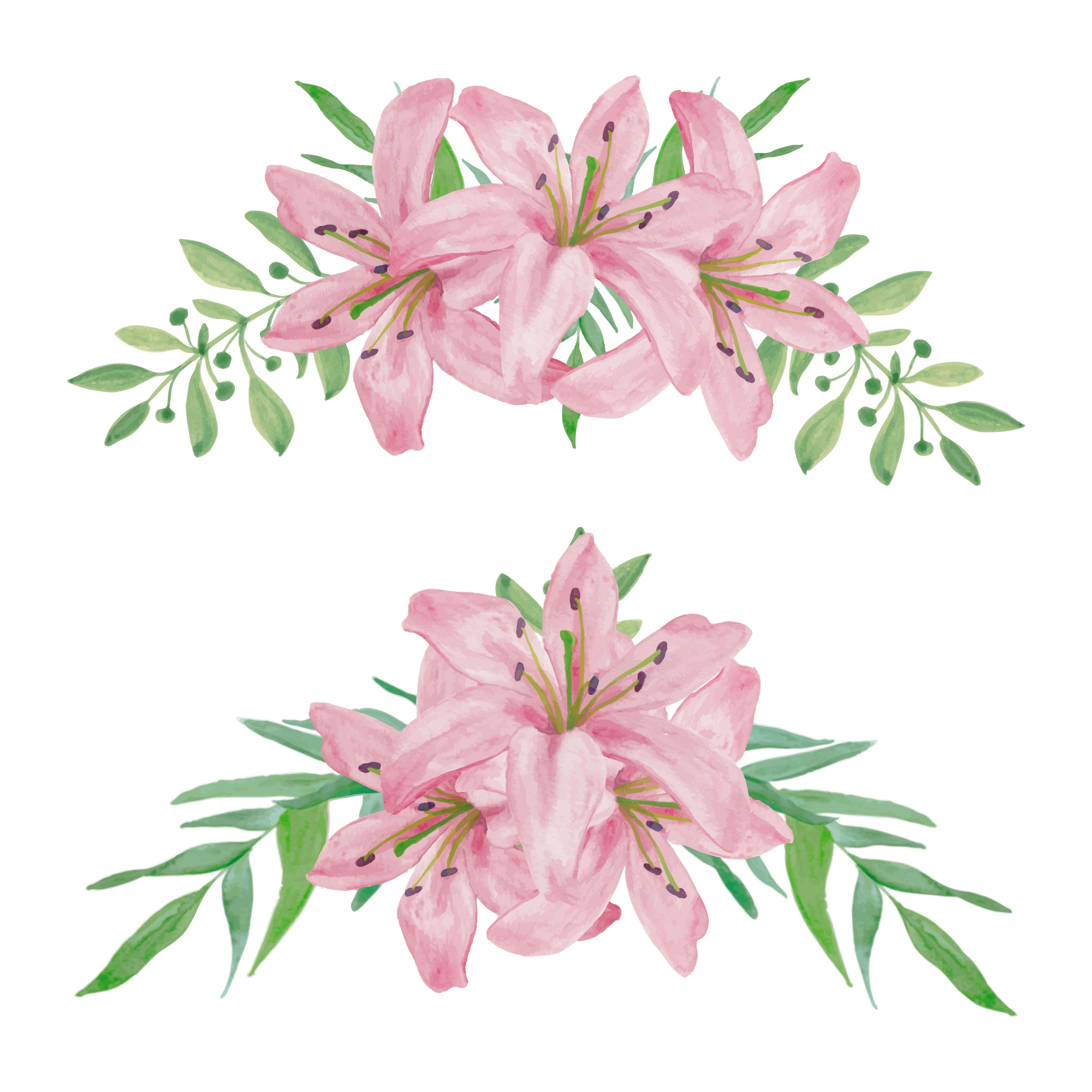Hand painted watercolor pink lily curved flower