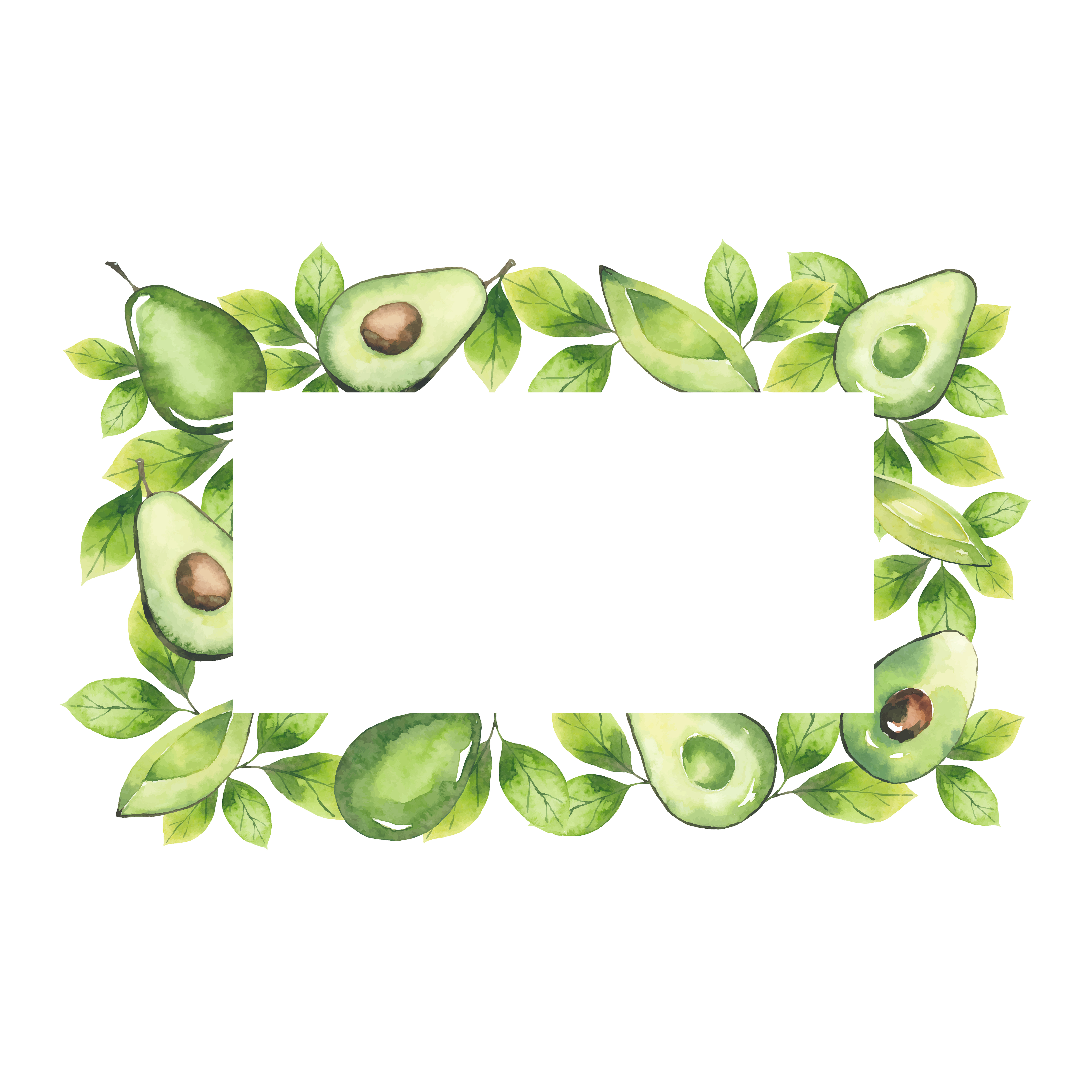 Download Watercolor rectangular frame with avocados and greenery - Download Free Vectors, Clipart ...